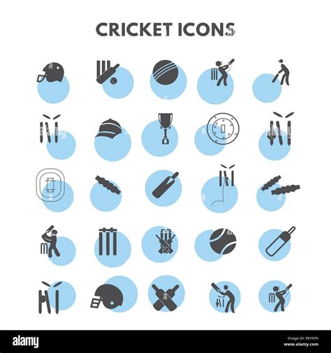 Cricket Icons Set For Web Design And Application Interface Also