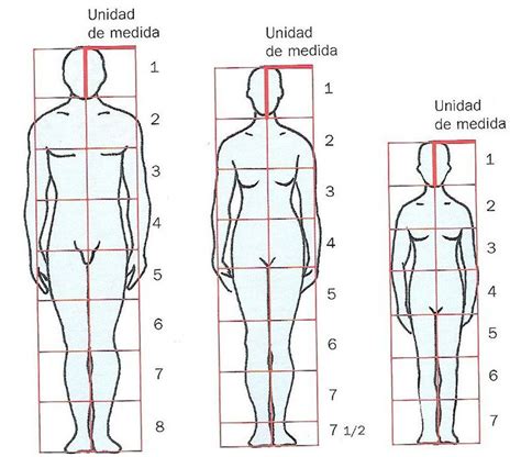 Em Geral 92 Imagen Etapas Del Dibujo De La Figura Humana Alta