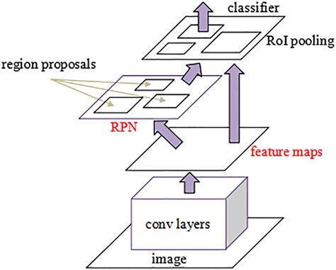 Schematic Overview Of The Faster Region Based Convolutional Neural Sexiezpix Web Porn