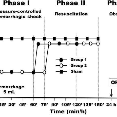 Changes In Mean Arterial Pressure During Phases I Hemorrhagic Shock