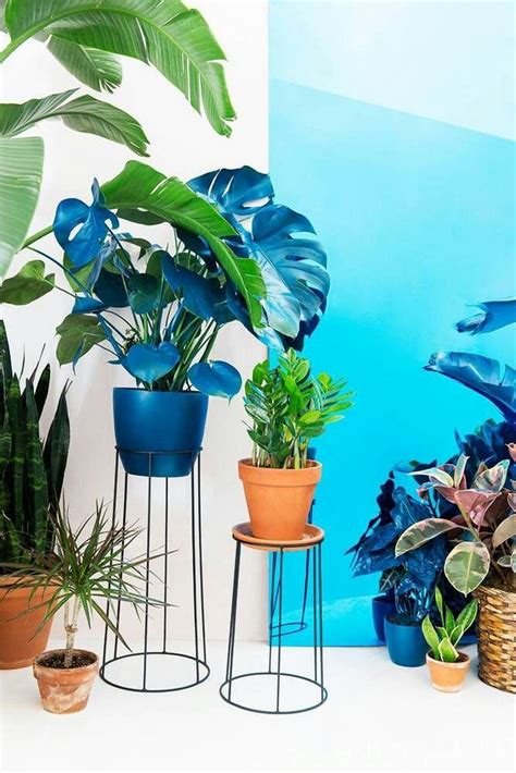 Check spelling or type a new query. Wire base planter | Planters, Plant decor, Flower pots