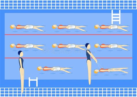 Swimmers In Swimming Pool Sport Professional Swimming Pool With Lanes