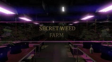 Secret Weed Farm Mlo Esx