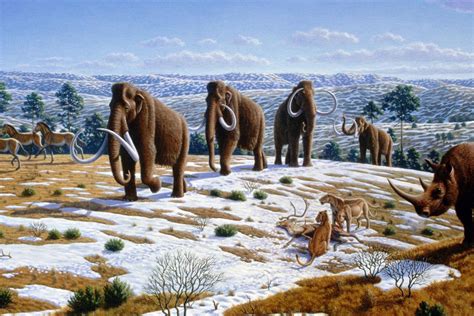 Welcome To Pleistocene Park The Mammoth Plan To Recreate An Ice Age
