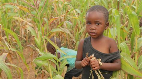 Burkina Faso Over 535000 Children Under Five Acutely Malnourished Cgtn
