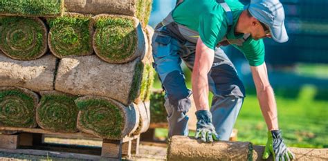 What Licenses Are Needed To Start A Landscaping Business Insureon