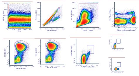 Avoid Data Loss By Setting Flow Cytometry Gates Correctly