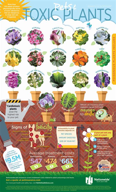 Plants that are poisonous to dogs can be found in our homes, our yards and in the wild, and sometimes all it takes is a little bite to lead to an the toxicity of grapes to dogs was once thought to be an urban legend, but it's true; Toxic Plants and Pets Infographic | Pet Health Insurance ...