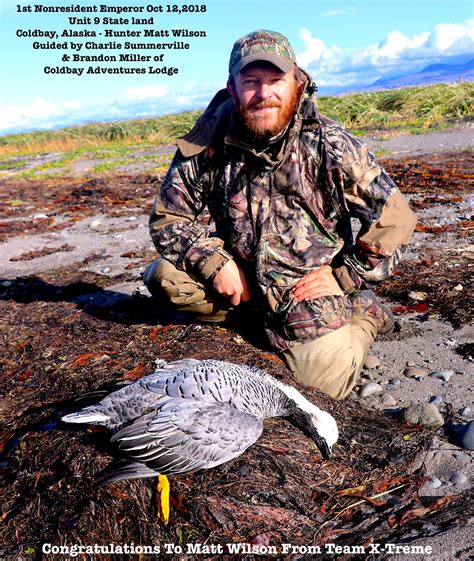 Alaska Duck Hunting King Eider Hunting