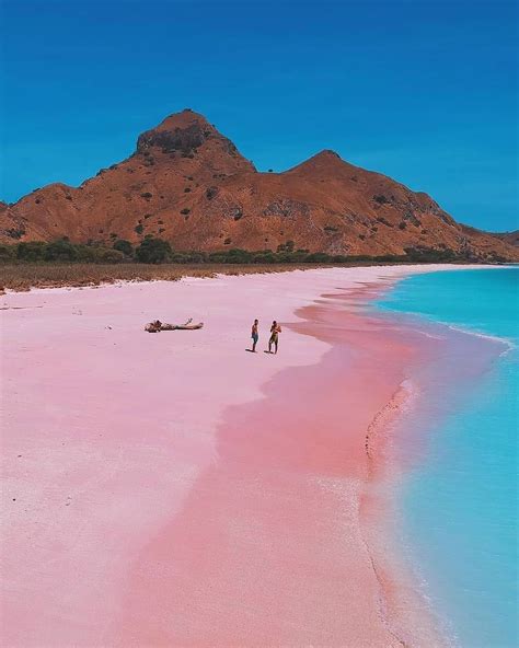 Pink Beach In Komodo Island Indonesia Cool Places To Visit Pink