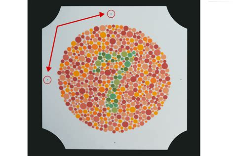 Ishihara Plate Color Test Color Vision Tests Precision Vision