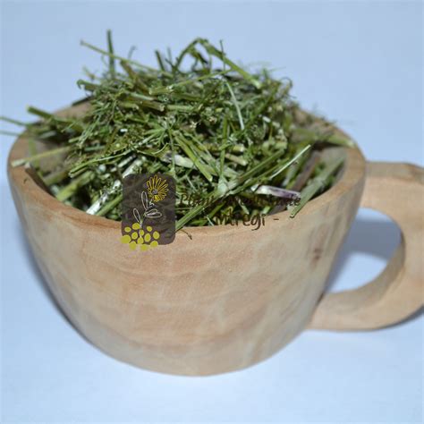 Fuioare uşoare de vânt în timpul zilei, noaptea se transformă în zâne cu părul galben şi rochii albe de abur, ce dansează hore. CEAI SANZIENE ALBE 20gr.