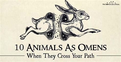 10 Animals As Omens When They Cross Your Path Animal Meanings Animal