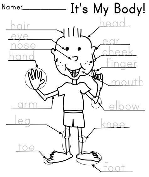 Body part actions, body worksheet. 15 Best Images of ESL Worksheets Preschool - Kindergarten ...