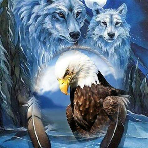 Eagle Images Wolf Images Eagle Pictures Wolf Pictures Wild Animal