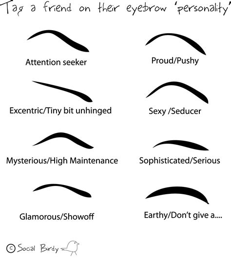 my own take on eyebrow personality just for fun social birdy attention seekers high