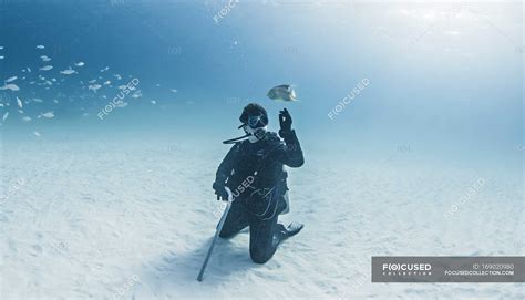 Portrait Of Scuba Diver Underwater View — Blue Sea Science Collection