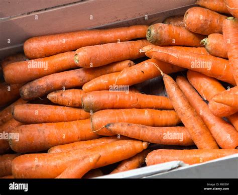Group Of Fresh Organic Carrots On Sale In Market Stock Photo Alamy
