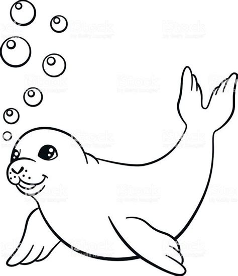 Exclusive Picture Of Seal Coloring Pages Free Coloring Pages