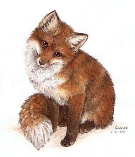Find and follow posts tagged tekeningen on tumblr. mooie tekeningen van dieren - Google zoeken | Fox painting ...