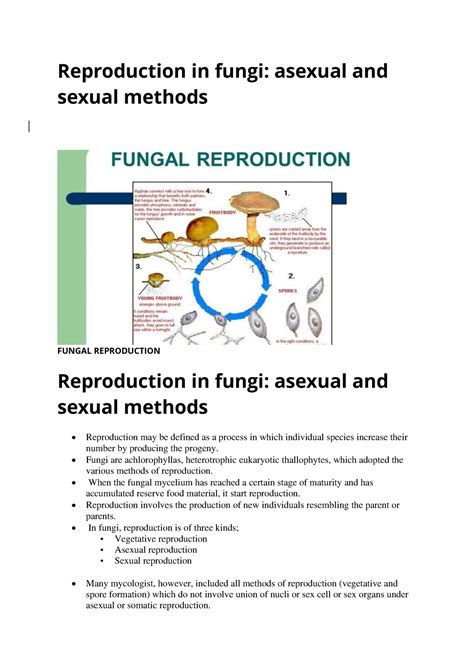 Reproduction In Fungi • Fungi Are Achlorophyllas Heterotrophic Eukaryotic Thallophytes Which