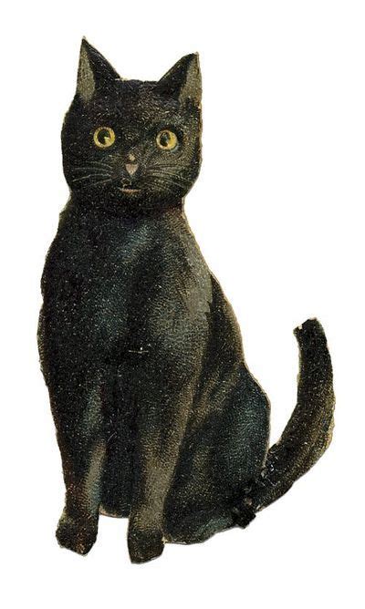 Black Cat Illustration Black Cats And Cats On Pinterest