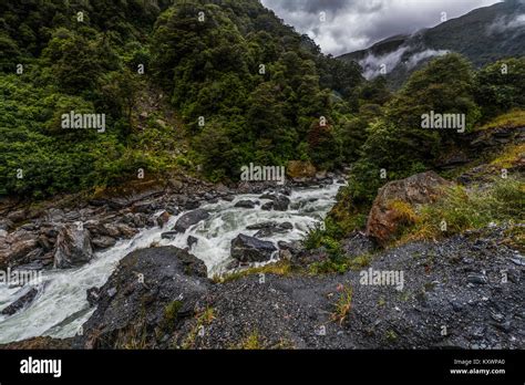 Landscape And Vegetation Of Haast River Valley New Zealand Stock Photo