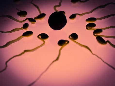 Robbing Women Japans Sperm Donation Law Spurs Controversy