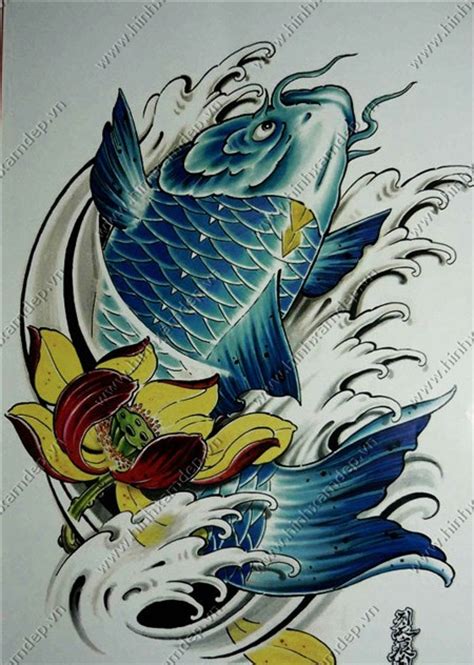 Hình xăm cá chép vàng, biểu tượng cho công danh, thành đạt và sự giàu có, sung túc. Hình xăm cá chép tattoo bắp tay và hết tay