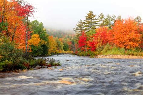 Maine Fall Foliage Photo Gallery