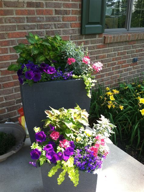 17 Best Images About Front Porch Planters On Pinterest