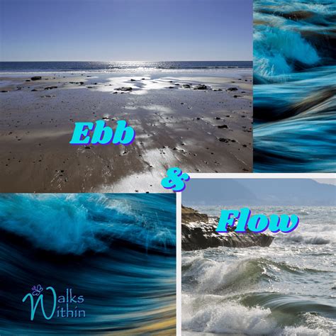 Ebb And Flow Walks Within Guided Meditations