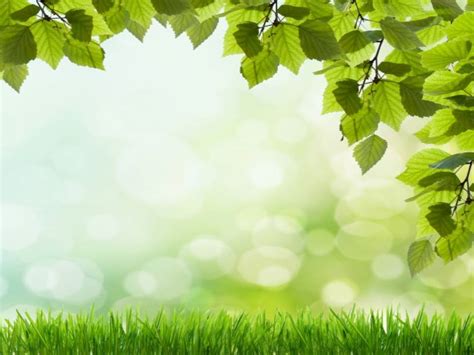 Free Download Beautiful Green Grass Backgrounds For Powerpoint