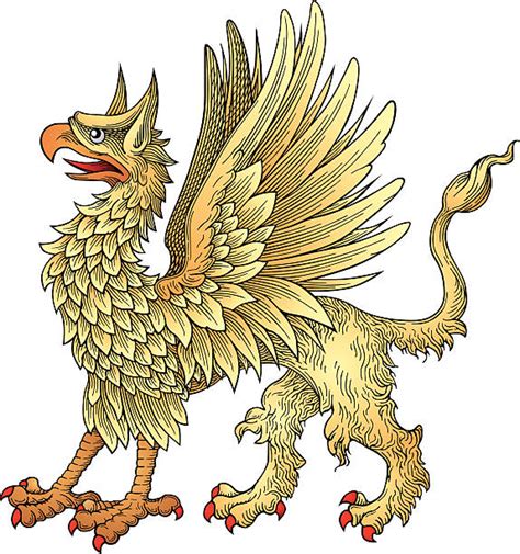 Royalty Free Griffin Clip Art Vector Images And Illustrations Istock
