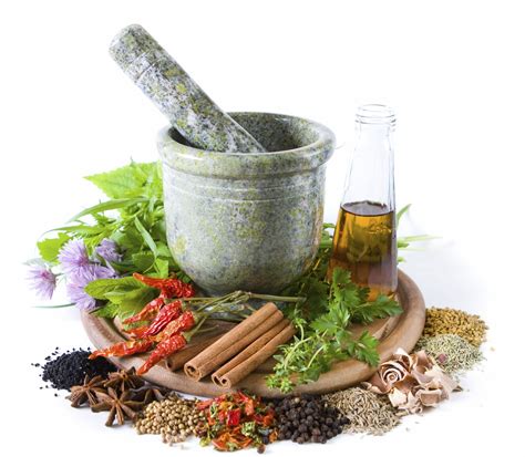 Learn about how chinese herbal medicine can support your dog & cat. Herbal Medicine | Alternative Health Clinic | High Peak ...