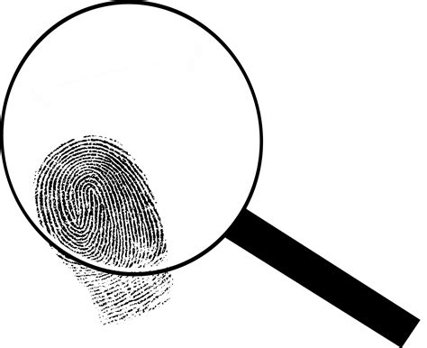 Collection Of Png Magnifying Glass Detective Pluspng