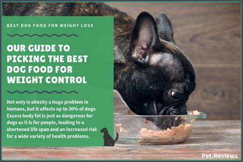 Are you looking for a dog food that will help your dog manage their weight with a controlled diet? 10 Best Diet (Low Calorie) Dog Foods For Weight Loss & Control