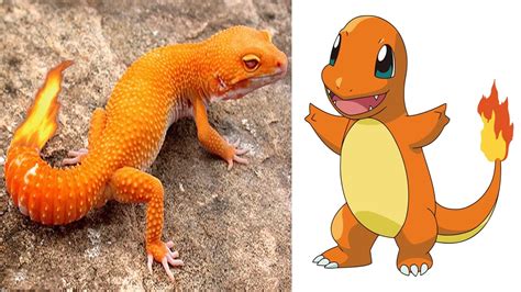 Pineco usually stays true to its name: 11 Pokemon That Actually Exist In Real Life - YouTube