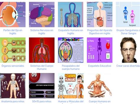 Puedes chatear de lo que quieras; Juegos Online Sobre El Cuerpo Humano Para Niños - El Sobre ...