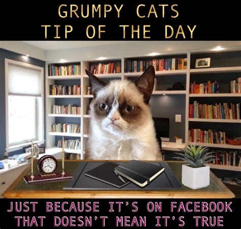 Cracking jokes at each other, and asking me where i am from. Grumpy Cats Tip Of The Day: Just Because It's On Facebook That Doesn't Mean It's True! | Grumpy ...