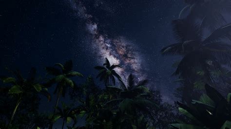4k Astro Of Milky Way Galaxy Over Tropical Rainforest 5625819 Stock