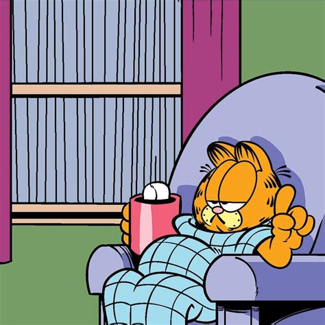 Garfield On Instagram Monday Plans Garfield Christmas Garfield
