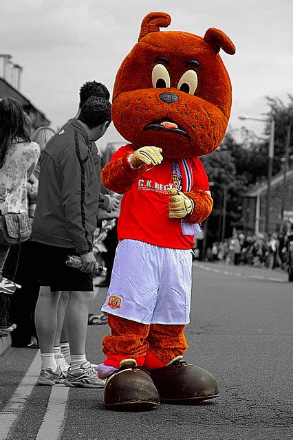 Toby Tyke At The Olympic Torch Relay In Barnsley Flickr Photo Sharing