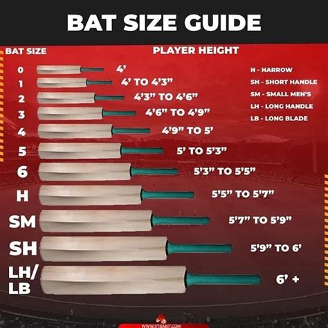 Bat Size Guide In 2024 Cricket Books Cricket Tips Icc Cricket