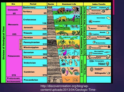 Geologic Time Scale Major Divisions Of Geologic Time Chart Geologic