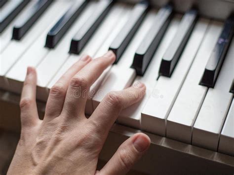 Pianist Plays Jazz Music Stock Image Image Of Keyboard 37270129