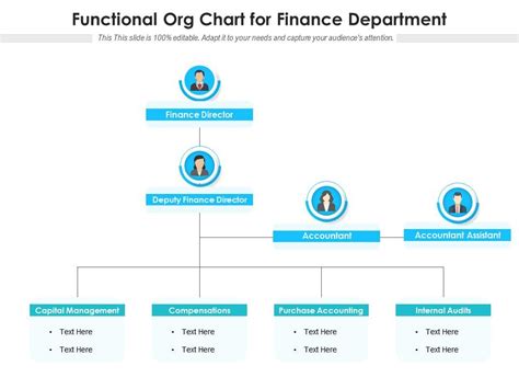 Functional Org Chart For Finance Department Presentation Graphics