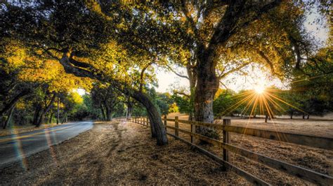 Nature Hdr Sunset Trees Road Fence Wallpapers Hd Desktop And