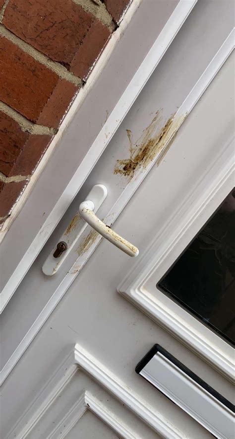 My ‘nightmare Neighbor ‘smeared Dog Poo On My Front Door As A ‘moving
