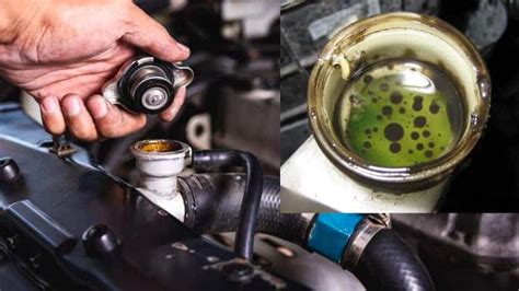 Oil In Coolant Reservoir Causes And Fixes Rx Mechanic